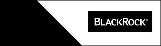 BlackRock BlackRock